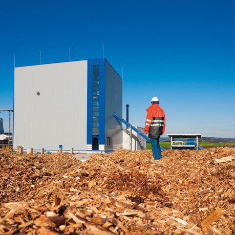 Impianti biomassa